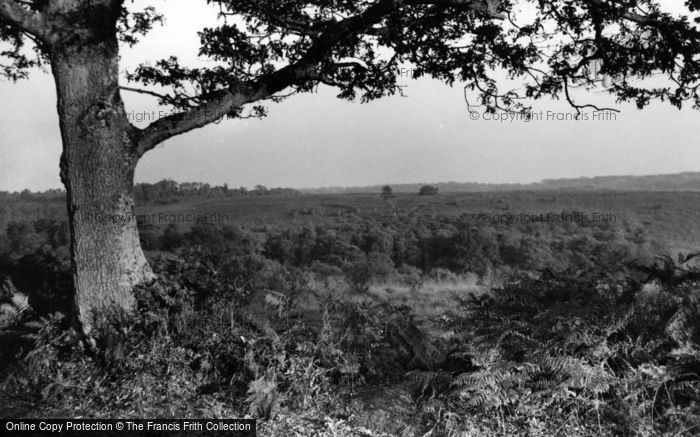 Photo of Handcross, St Leonard's Forest c.1955