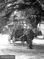 Horse And Cart In Village 1904, Hanley Castle
