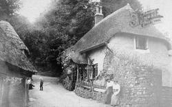 The Village c.1912, Harberton