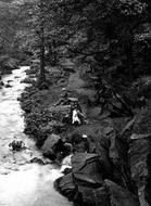 View From Goit Stock Falls 1923, Harden
