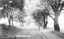 The Avenue c.1955, Harelaw