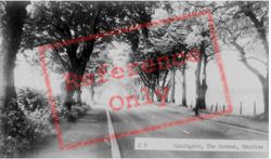 The Avenue c.1955, Harelaw