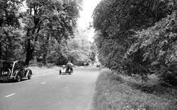 Avenue 1952, Harewood