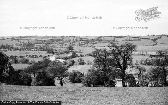 Photo of Harewood, View From The Avenue c.1953