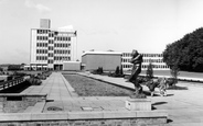 Water Gardens c.1965, Harlow