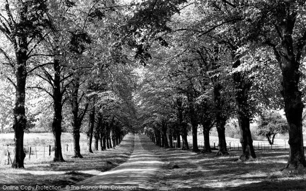 Harpenden, Rothamsted Park c.1955 - Francis Frith