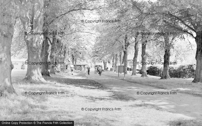 Photo of Harpenden, Rothamsted Park c.1960