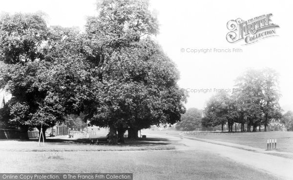 Photo of Harpenden, The Common c.1877