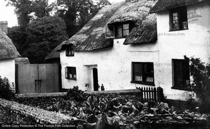 Photo of Harpford, A Cottage Garden 1906