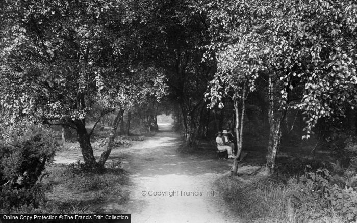 Photo of Harrogate, A Shady Walk On Harlow Moor 1921