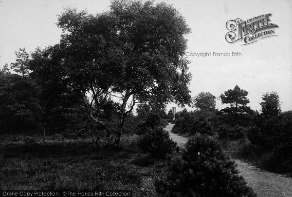 Photo of Harrogate, Harlow Moor 1914