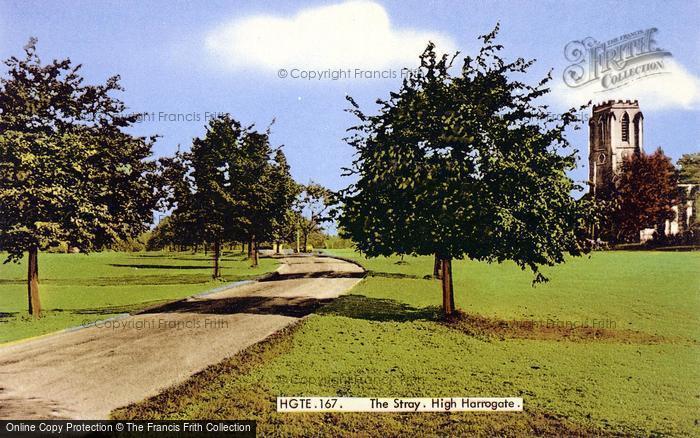 Photo of Harrogate, The Stray c.1957