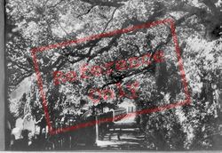 Roxborough Park 1906, Harrow On The Hill