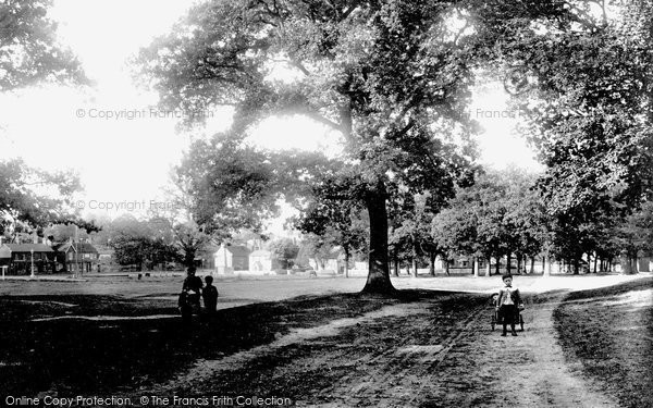 Photo of Hartley Wintney, The Village 1904