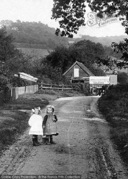 Photo of Hascombe, Girls In Mare Lane 1908