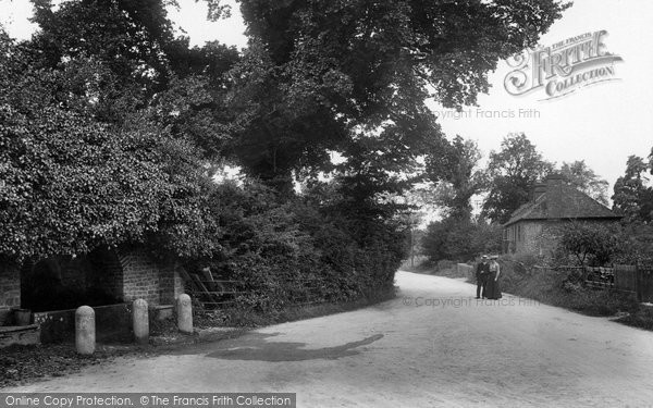 Photo of Hascombe, The Fountain 1906
