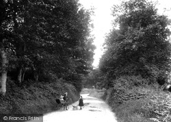 Anstead Road 1907, Haslemere