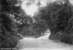 Ansted Road 1901, Haslemere