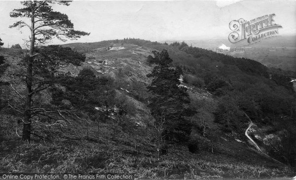 Photo of Haslemere, Blackdown 1912