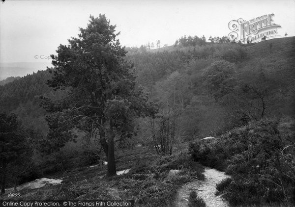 Photo of Haslemere, Blackdown 1912