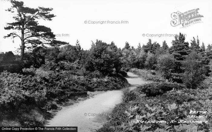 Photo of Haslemere, Blackdown c.1955