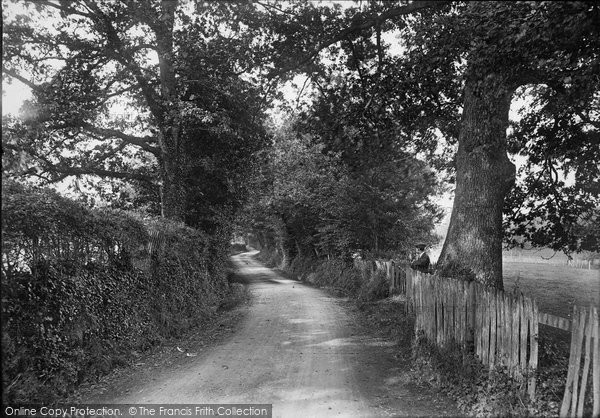 Photo of Haslemere, Bunch Lane 1916