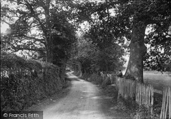 Bunch Lane 1916, Haslemere