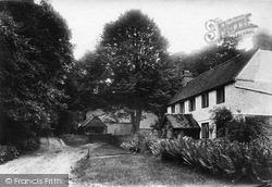 Chase Farm 1907, Haslemere
