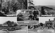 Composite c.1960, Haslemere