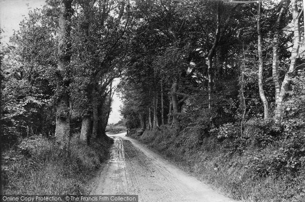Photo of Haslemere, Entrance To Tennyson's Lane 1907