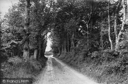 Entrance To Tennyson's Lane 1907, Haslemere