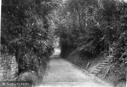 Farnham Lane 1902, Haslemere