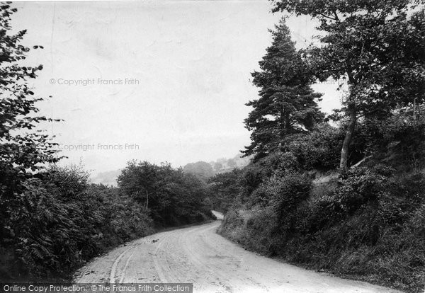 Photo of Haslemere, Hammer Common 1910