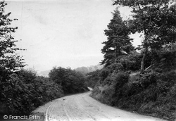 Hammer Common 1910, Haslemere