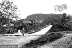 Hammer Common 1910, Haslemere