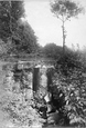 Hammer Kissing Bridge 1907, Haslemere