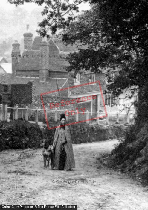 Photo of Haslemere, Lady And Dog, Shepherds Hill 1888