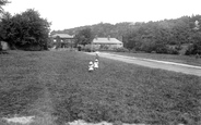 Lion Green 1915, Haslemere