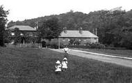 Lion Green 1915, Haslemere