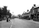 Lion Lane 1921, Haslemere