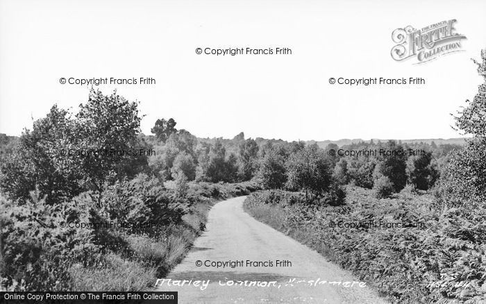 Photo of Haslemere, Marley Common c.1955