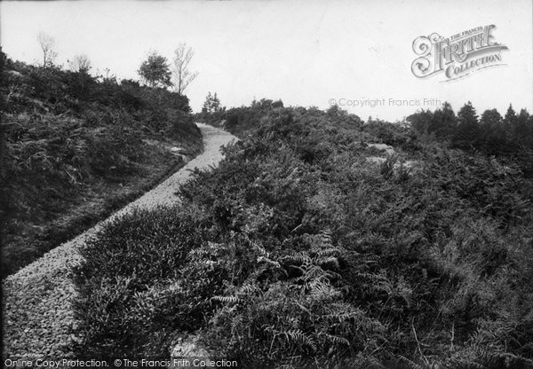 Photo of Haslemere, Marley Hollow 1910