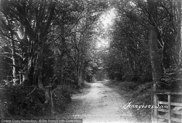 Photo of Haslemere, Tennyson's Lane 1899