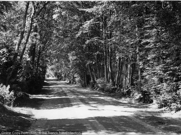 Photo of Haslemere, Tennyson's Lane c.1955