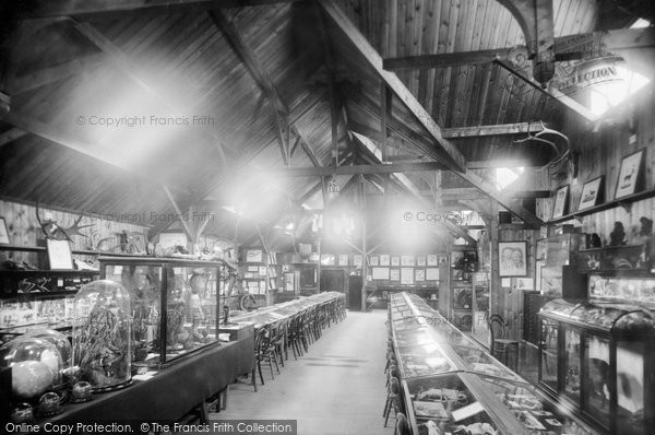 Photo of Haslemere, The Museum 1899