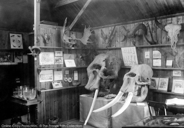 Photo of Haslemere, The Museum 1899