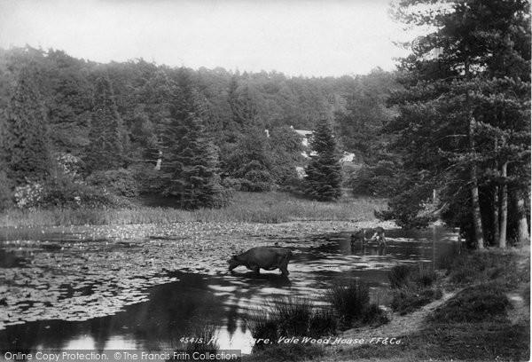 Photo of Haslemere, Vale Wood House 1900