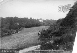 View From Farnham Lane 1902, Haslemere