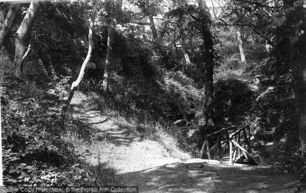 Photo of Hastings, Ecclesbourne Glen Bridge 1894