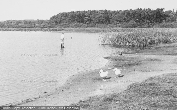 Photo of Hatchmere, Delamere Lake c.1955